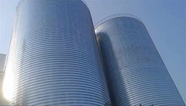 英山2座混凝土高架卷板仓